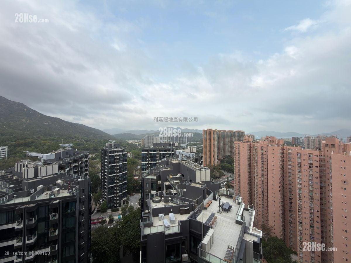 黄金海湾 售盘 236 平方尺