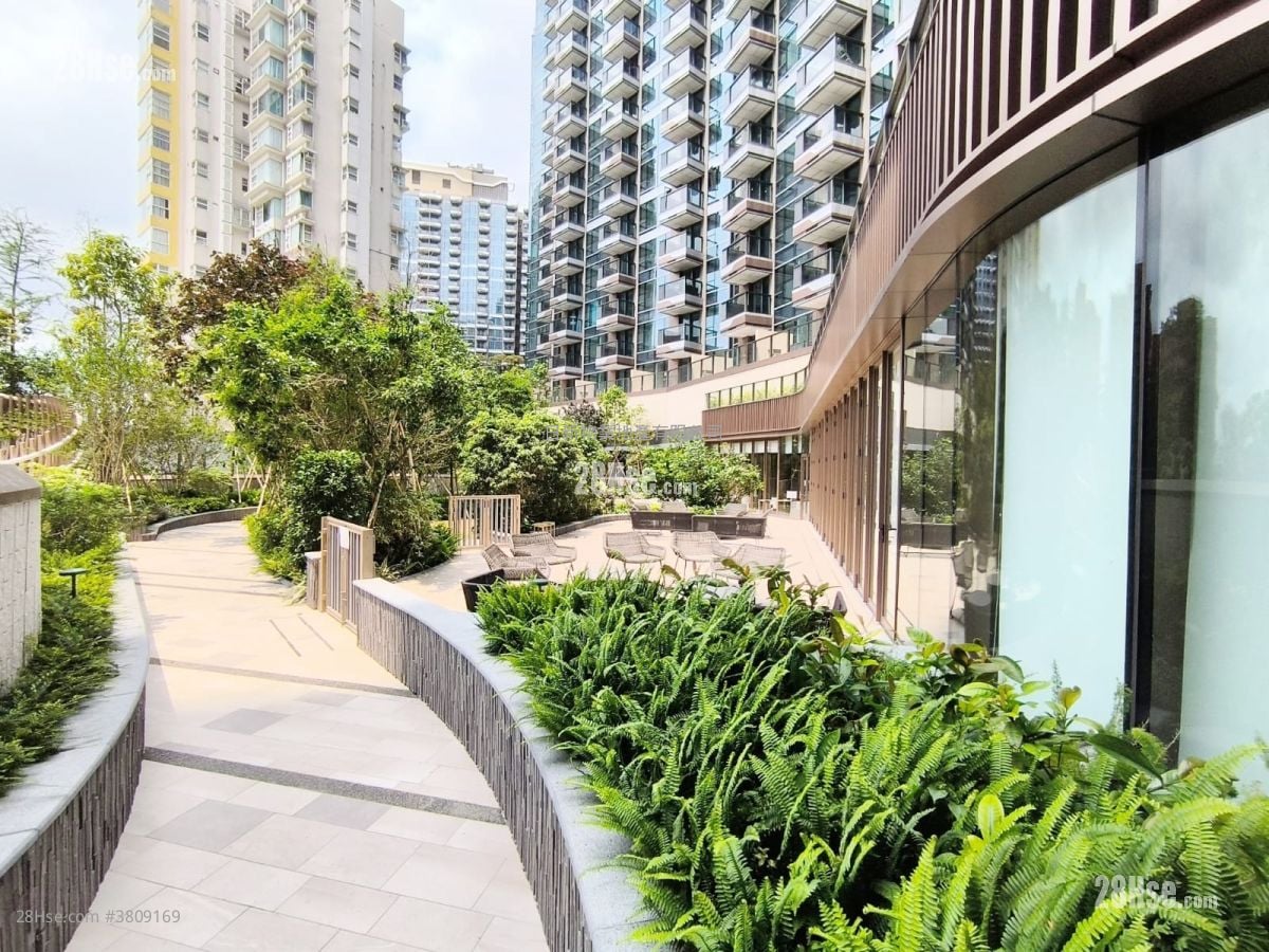 黄金海湾 租盘 204 平方尺