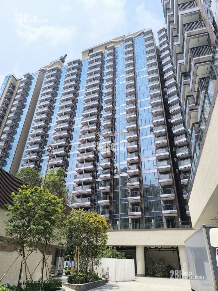 黄金海湾 租盘 204 平方尺