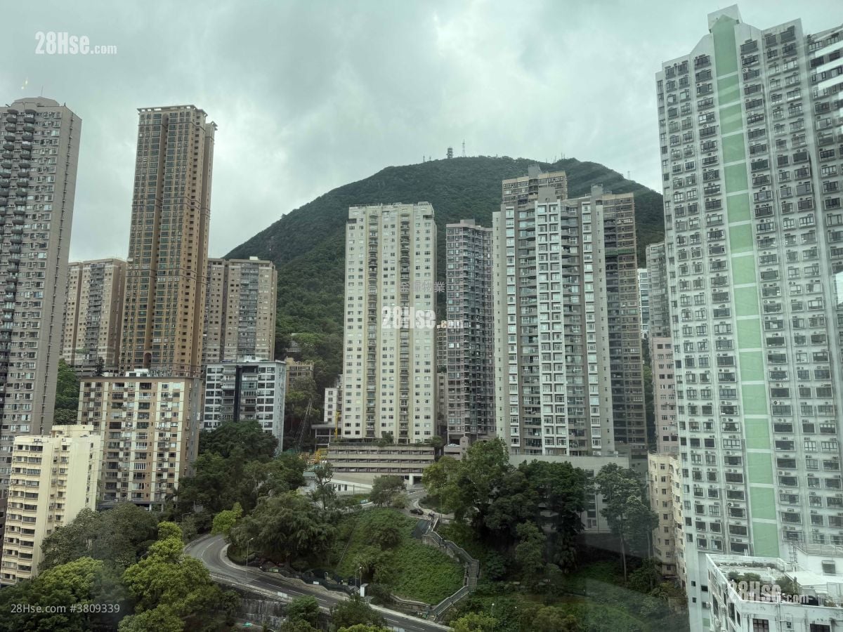 Wilton Place Rental 1 Bedroom , 1 Bathroom 478 ft²