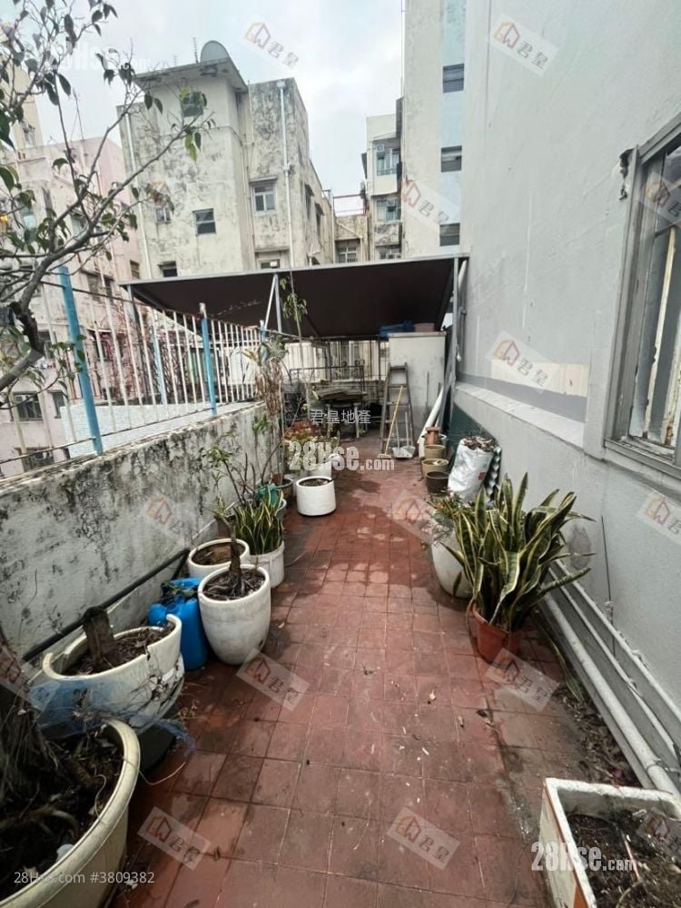 通菜街225号 租盘 1 房 , 1 浴室 366 平方尺