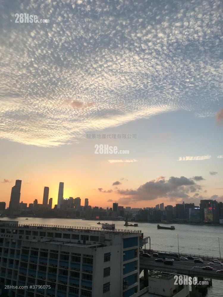 庄士维港轩 售盘 开放式间隔 , 1 浴室 184 平方尺