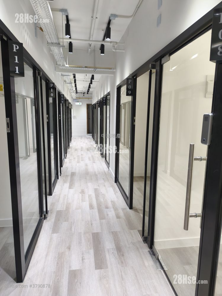 骆驼漆大厦 租盘