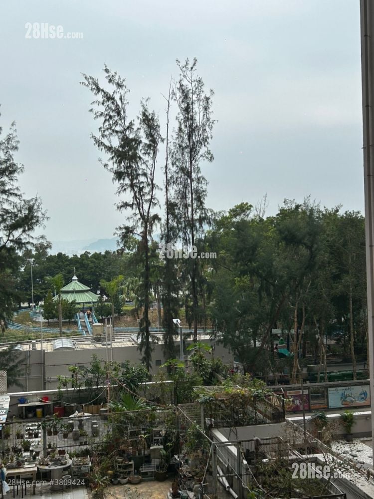 Jade Court Rental 2 Bedrooms , 1 Bathroom 393 ft²