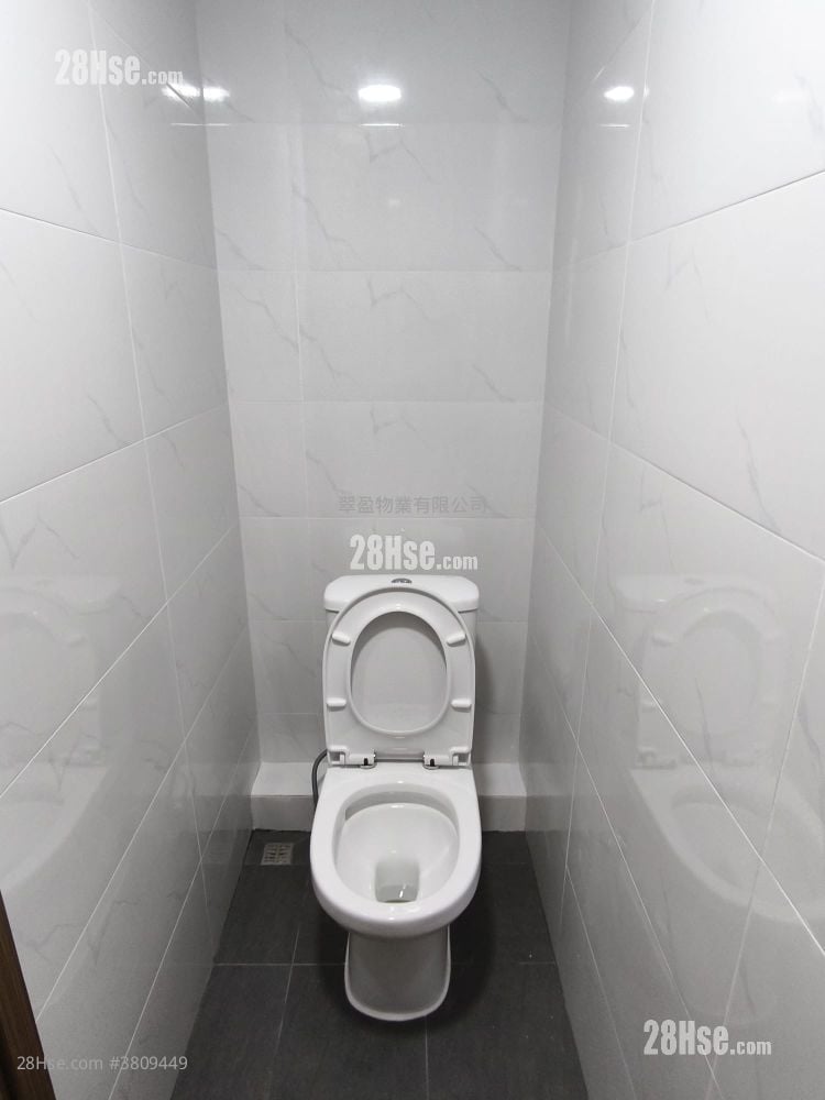 骆驼漆大厦 租盘