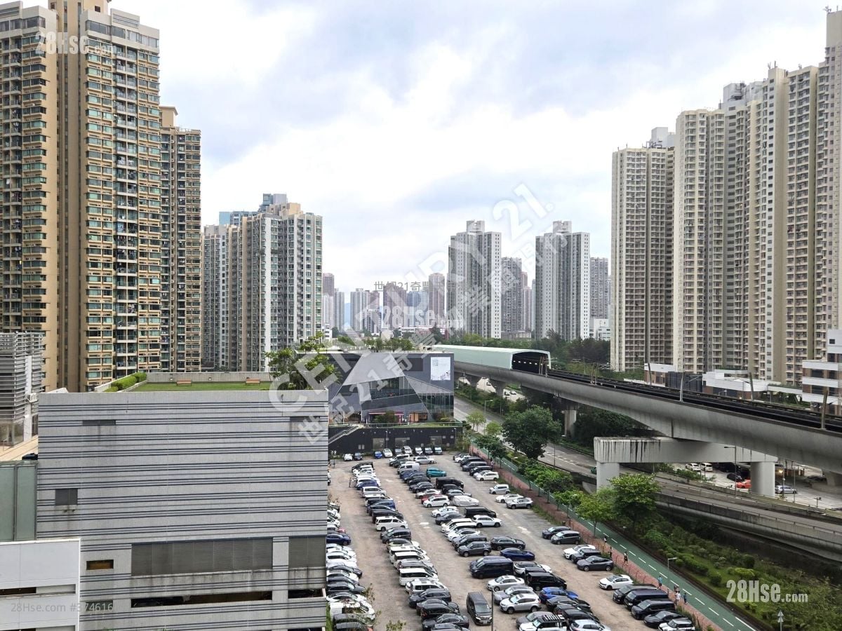 Jimmy豆生 63460809