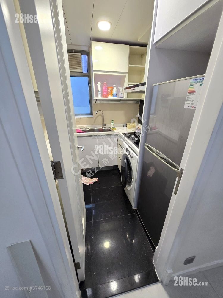 Jimmy豆生 63460809