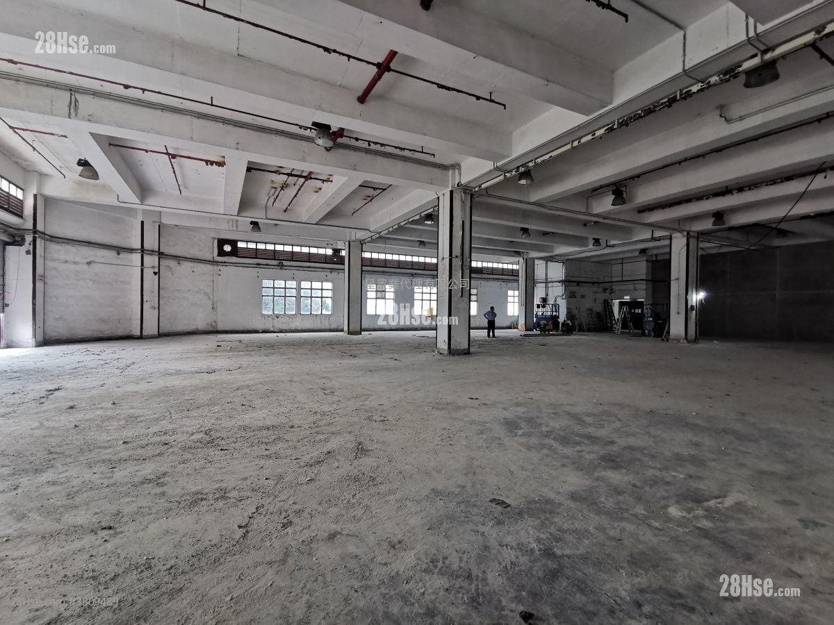 工业大厦 租盘 5+ 房