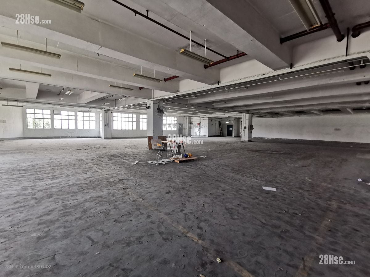 工业大厦 租盘 5+ 房