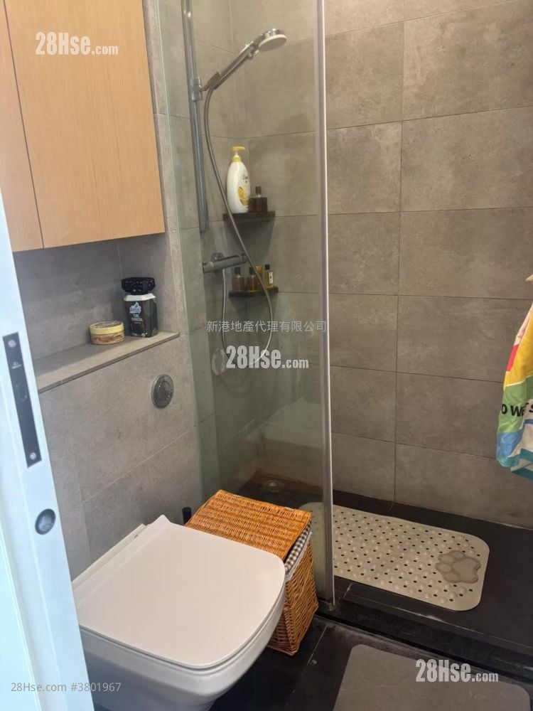 No.80 Maidstone Road Rental 1 Bedroom , 1 Bathroom 268 ft²