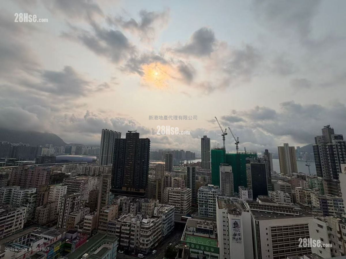 No.80 Maidstone Road Rental 1 Bedroom , 1 Bathroom 268 ft²