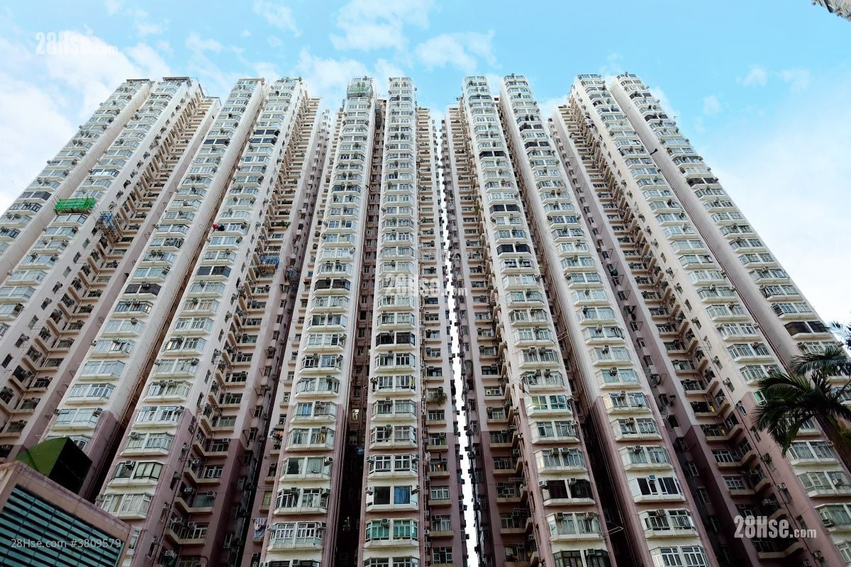 大厦外观: 荃湾中心 售盘 2 房 , 1 浴室 380 平方尺