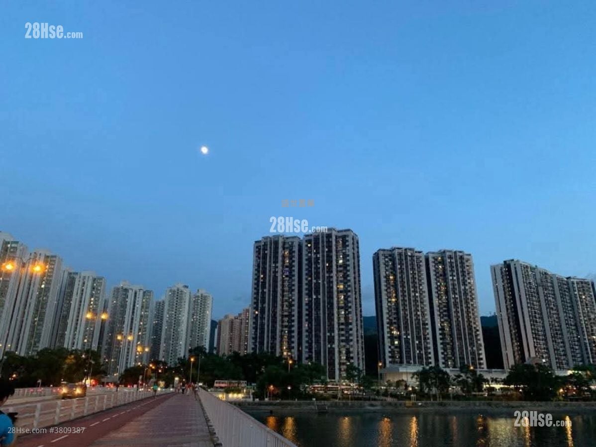 Belair Gardens Sell 2 Bedrooms , 1 Bathroom 560 ft²