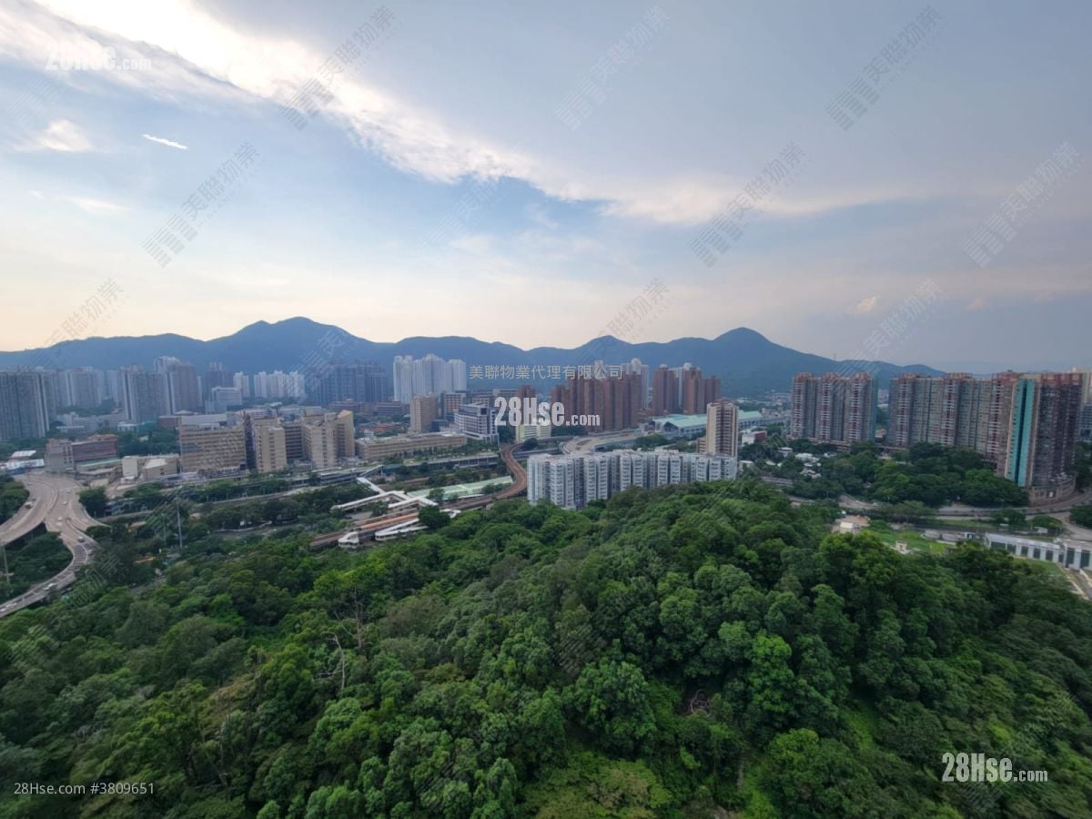 御半山 售盘 2 房 442 平方尺