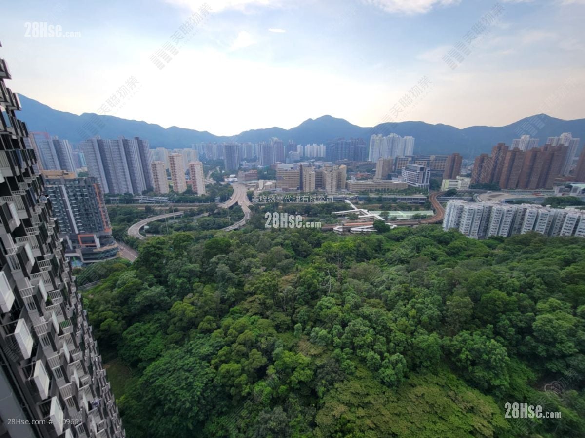 御半山 售盘 2 房 442 平方尺