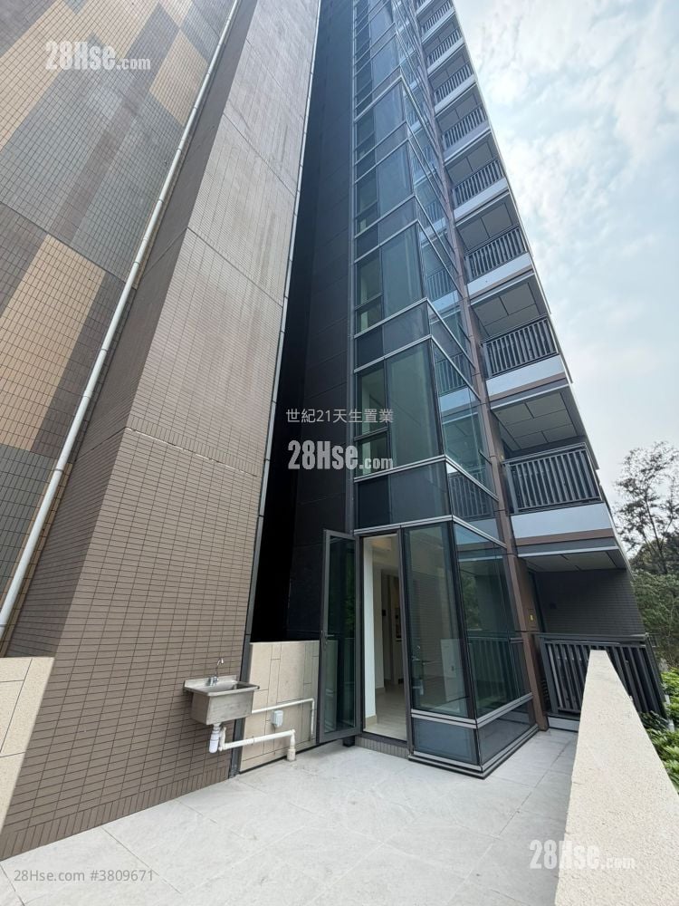 黄金海湾 租盘 开放式间隔 , 1 浴室 305 平方尺