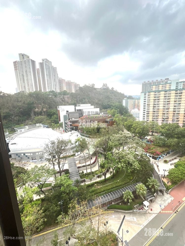 利荣大厦 租盘 1 房 , 1 浴室 253 平方尺