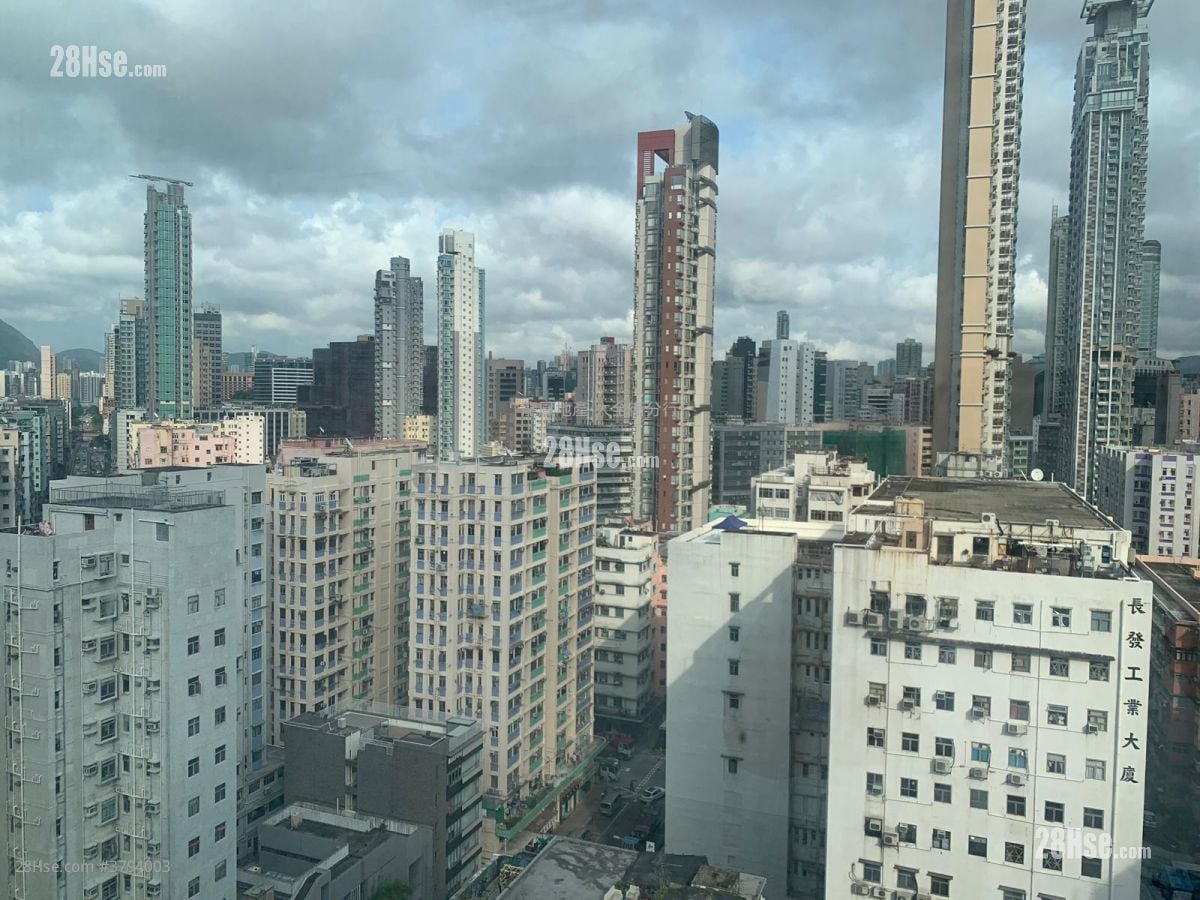 Walnut 9 Rental Studio , 1 Toilet