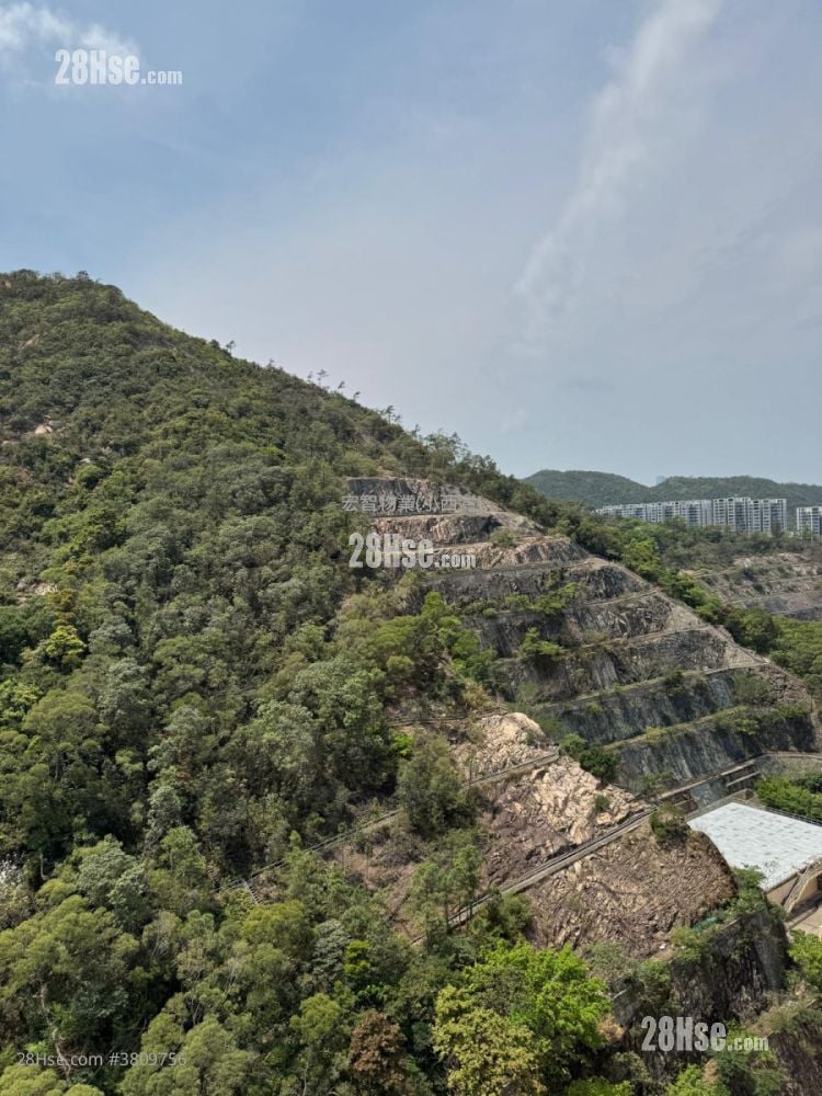 东骏苑 售盘 2 房 , 1 浴室 603 平方尺