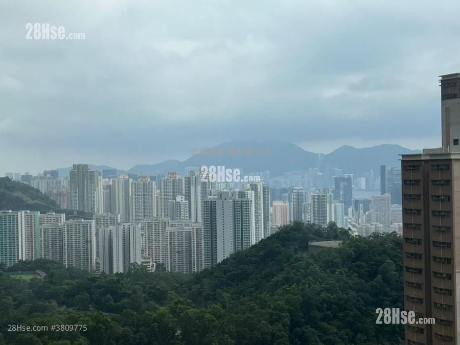 海港花园 售盘 2 房 510 平方尺