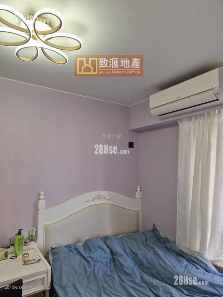 凯乐苑 售盘 1 房 391 平方尺