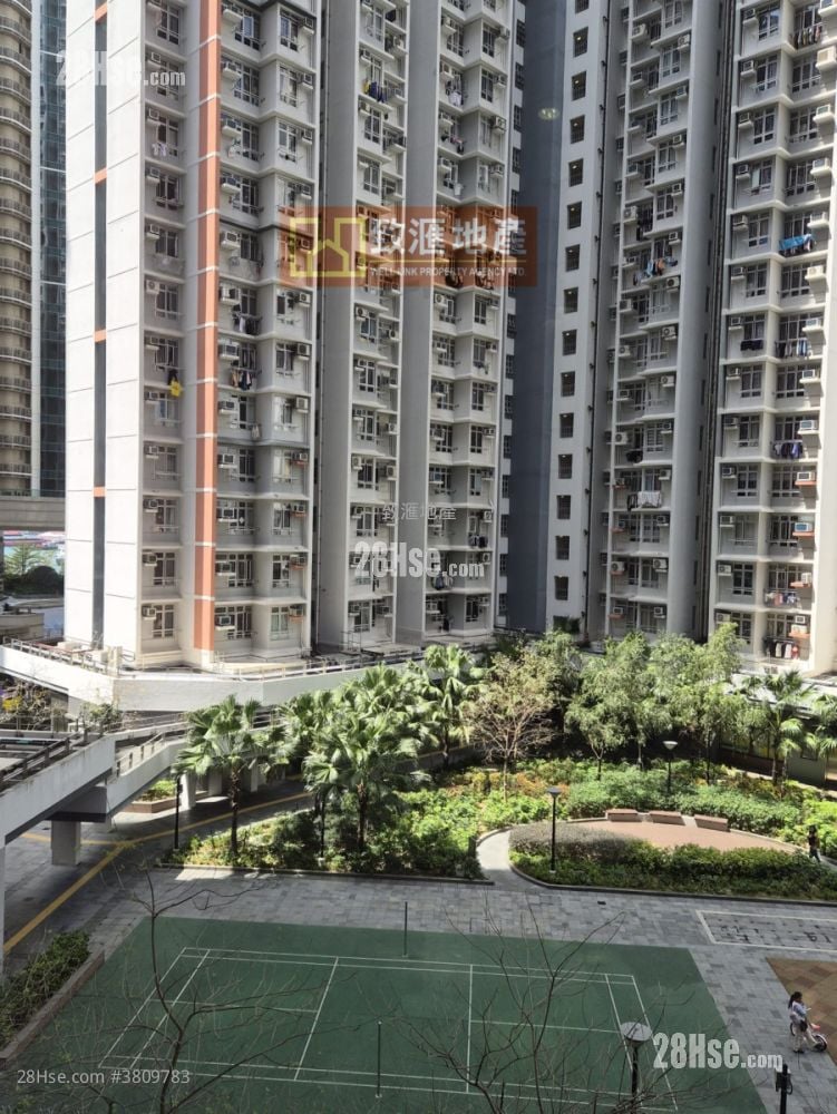 凯乐苑 售盘 1 房 391 平方尺