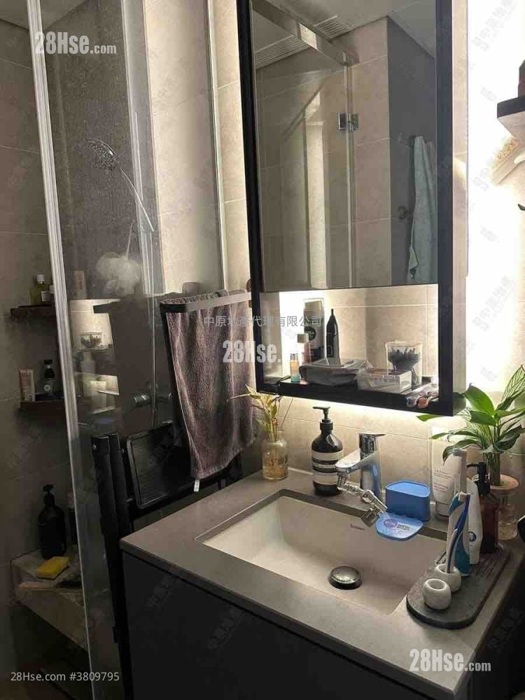 Lp6 Rental 1 Bedroom , 1 Bathroom 305 ft²