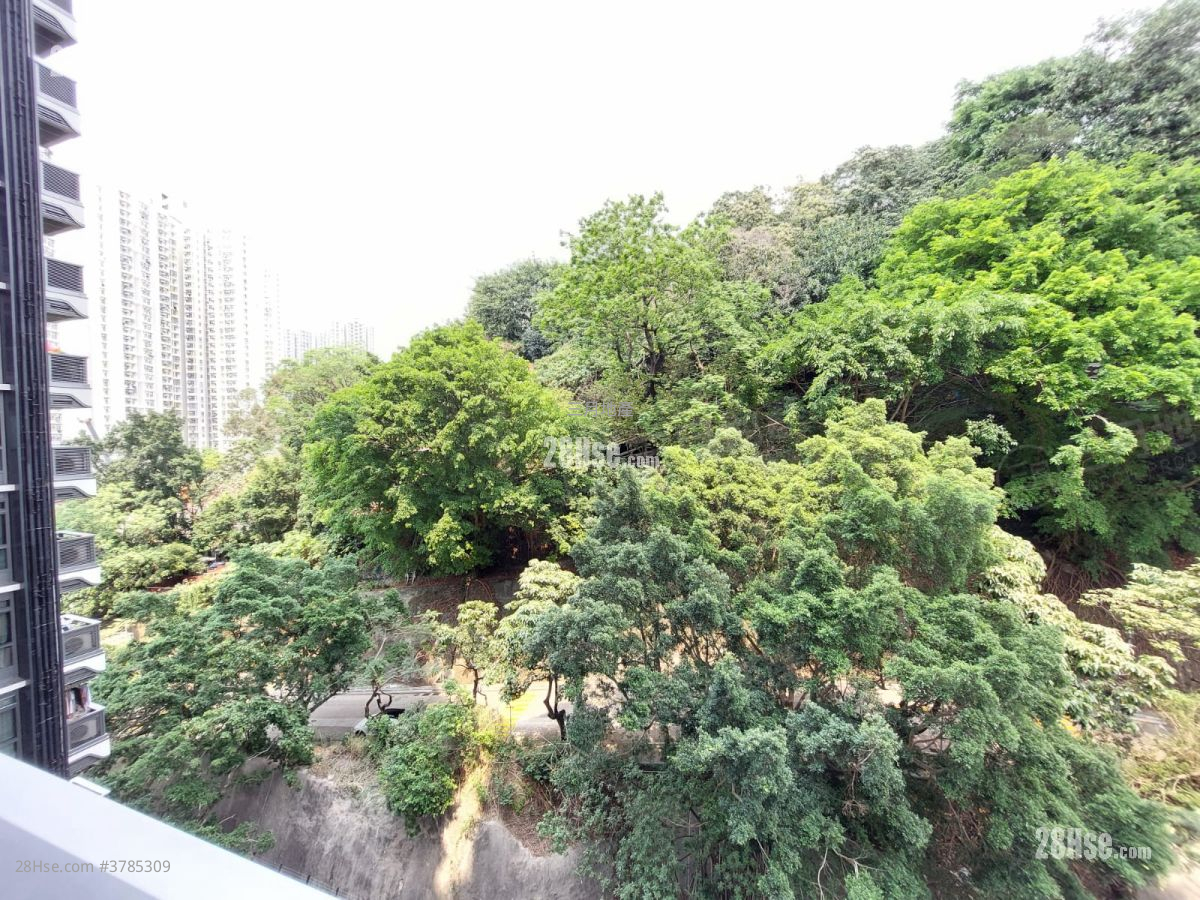 The Paddington Sell 1 Bedroom , 1 Bathroom 234 ft²