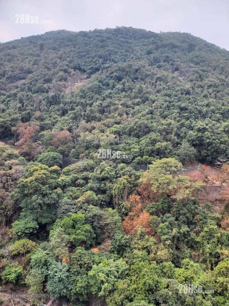 中興大廈 售盤 225 平方呎