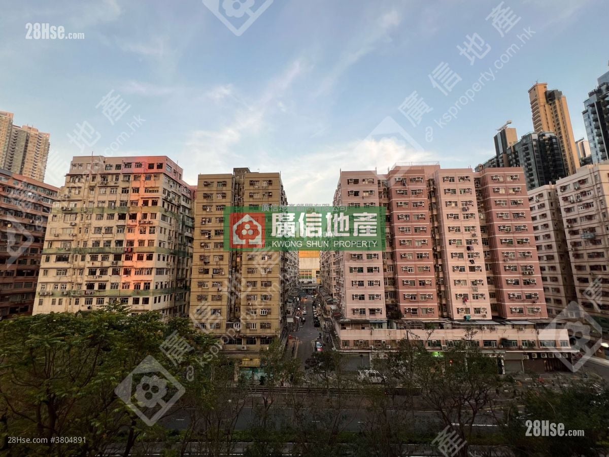 君匯港 租盤 2 房 , 1 浴室 516 平方呎