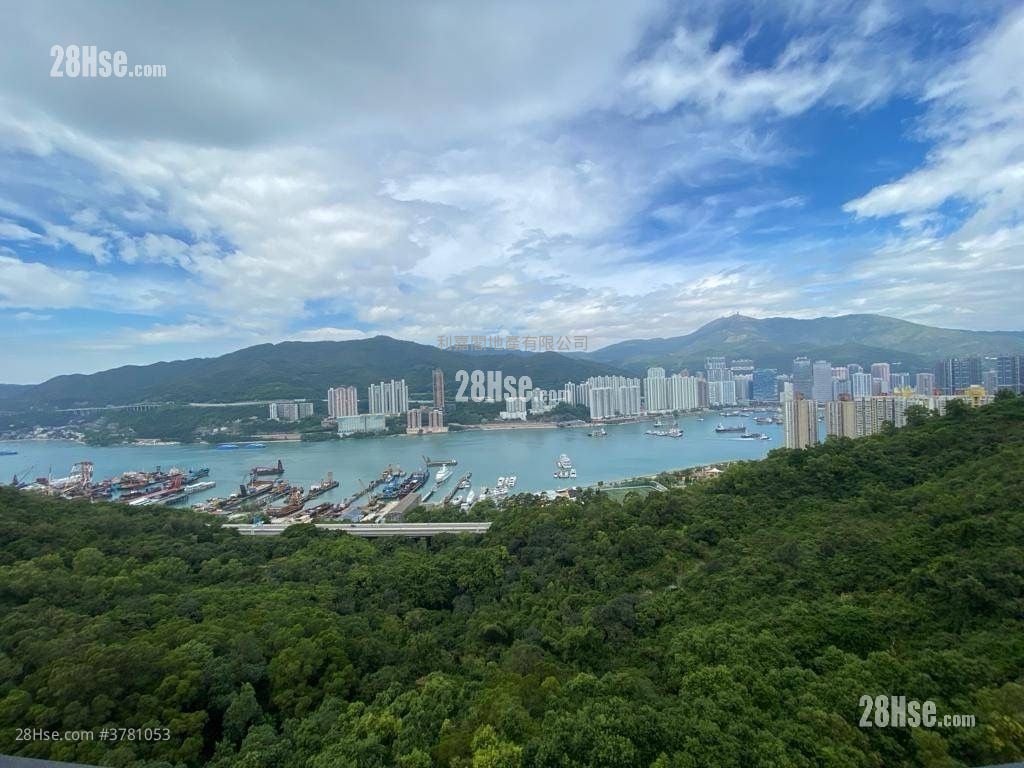 荟蓝 售盘 1 浴室 203 平方尺