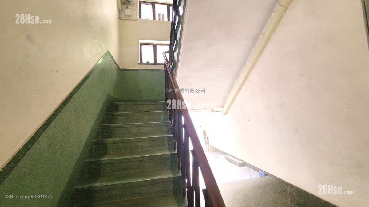 main door: 5-7 Belfran Road Rental 3 Bedrooms , 1 Bathroom 800 ft²