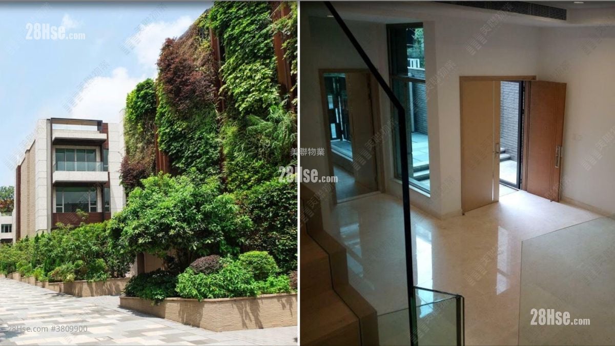 柏巒第一期 售盤 5+ 房 , 3 浴室 3,531 平方呎