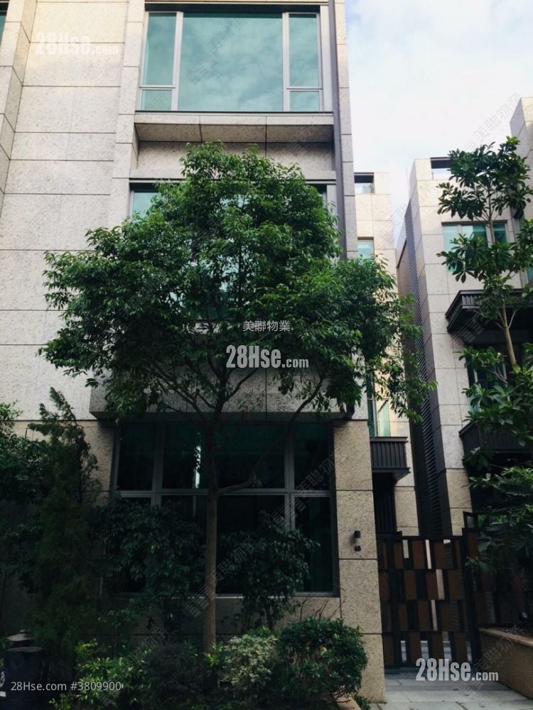 柏巒第一期 售盤 5+ 房 , 3 浴室 3,531 平方呎