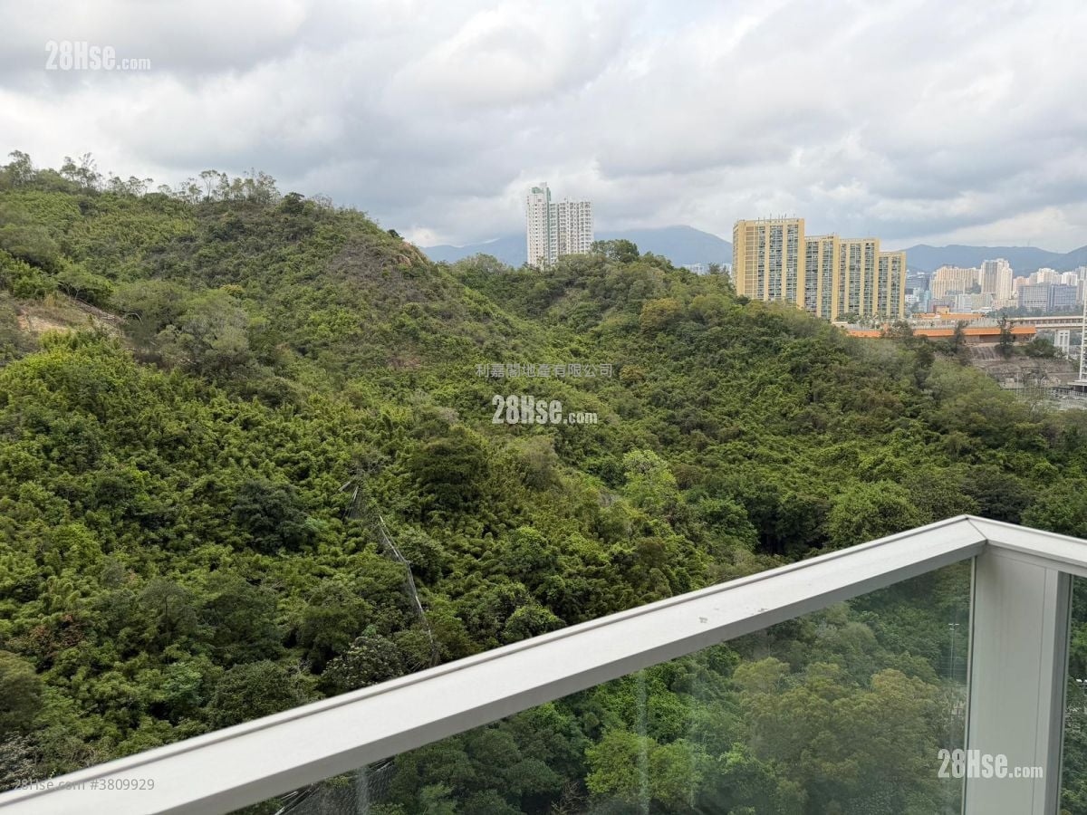 The Grand Marine Sell 1 Bedroom , 1 Bathroom 299 ft²