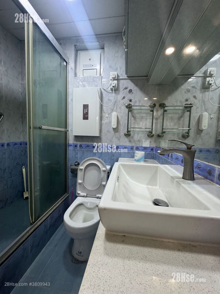 荃威花园 售盘 533 平方尺