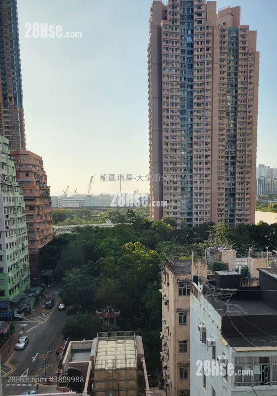 Man On Building Rental 1 Bedroom , 1 Bathroom 215 ft²