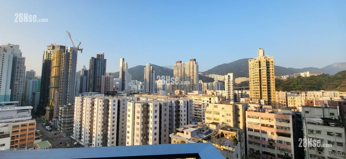 The Campton 1B期 租盘 1 房 287 平方尺