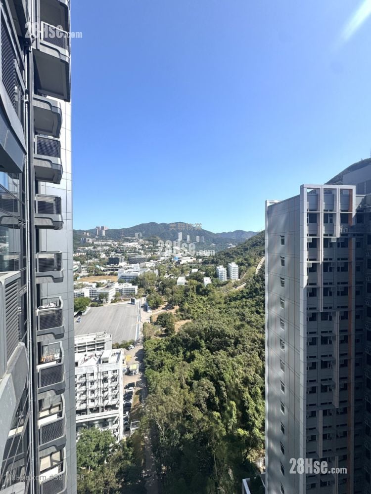 The Southside Rental 2 Bedrooms , 1 Bathroom 517 ft²