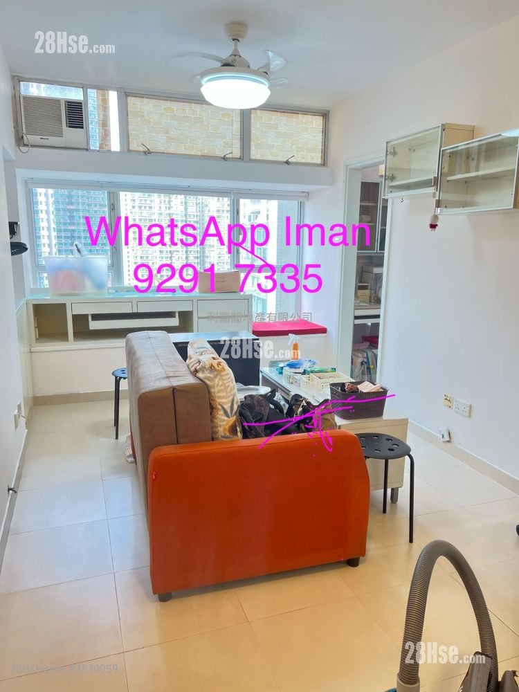 Verbena Heights Rental 1 Bedroom , 1 Bathroom 372 ft²