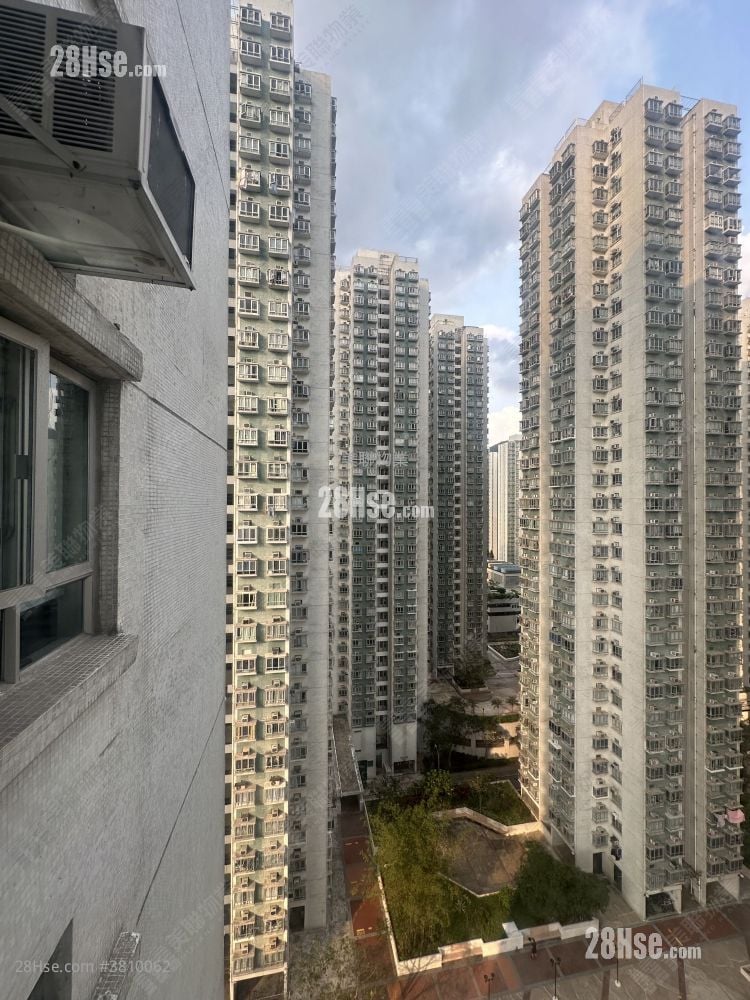 沙田第一城 租盤 284 平方呎