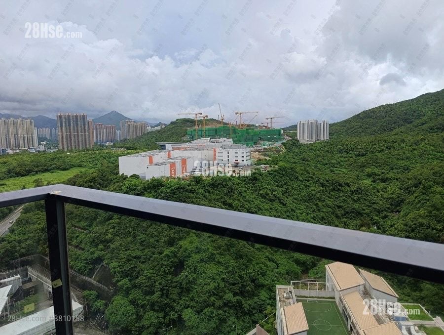 海茵庄园 售盘 开放式间隔 217 平方尺