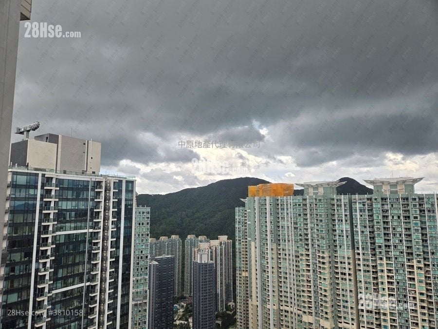 海茵庄园 售盘 开放式间隔 217 平方尺