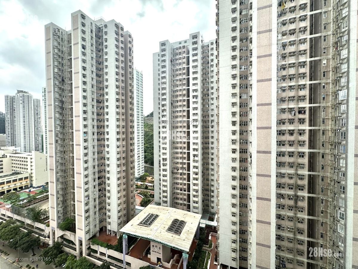 金源洋樓 租盤 1 房 , 1 浴室 240 平方呎