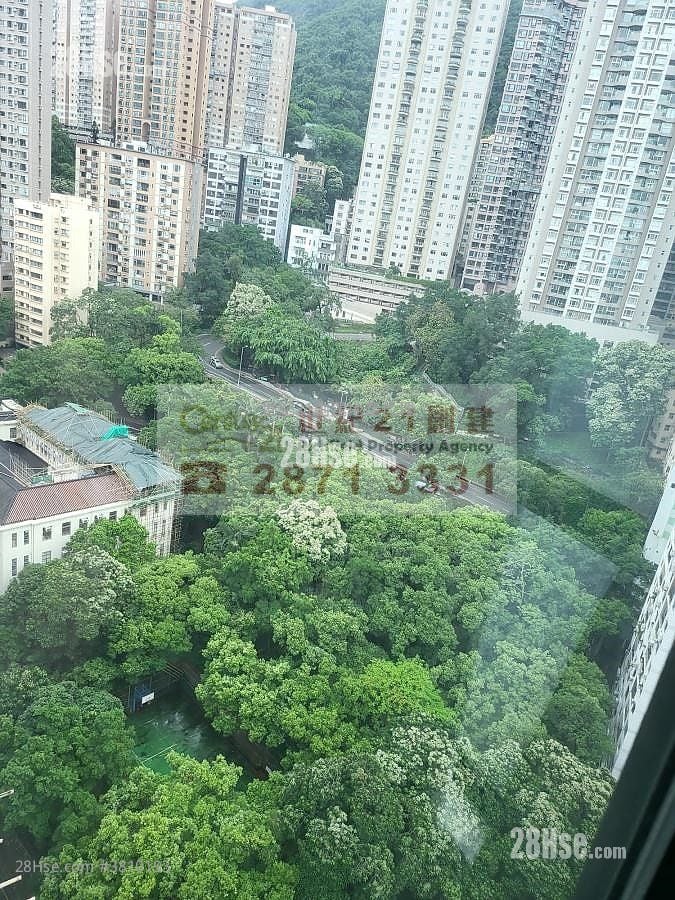 Wilton Place Rental 1 Bedroom , 1 Bathroom 478 ft²