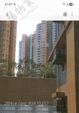 海滨南岸 售盘 3 房 589 平方尺