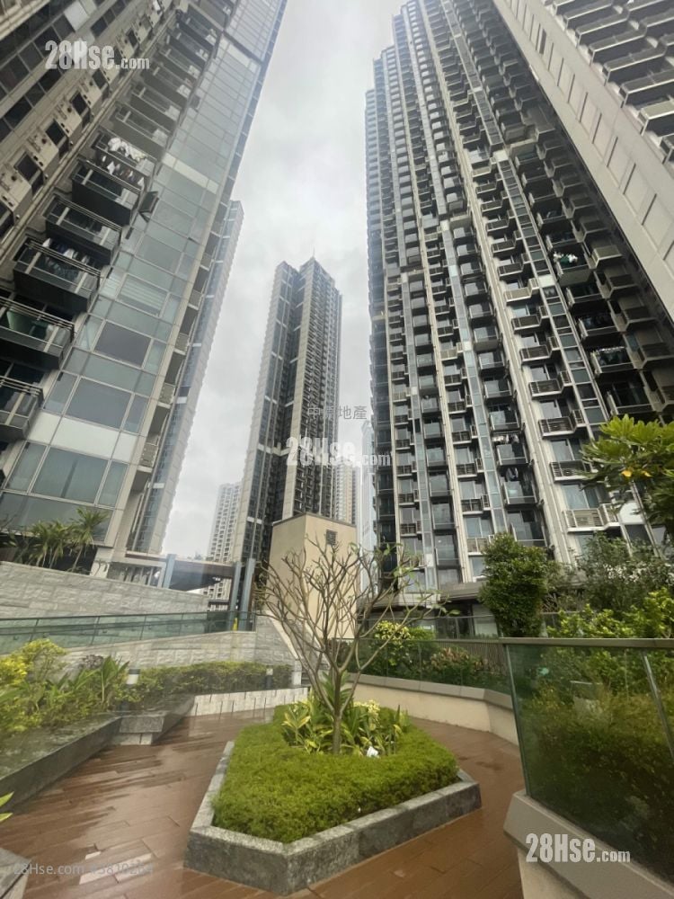 海之戀 租盤 1 房 , 1 浴室 393 平方呎