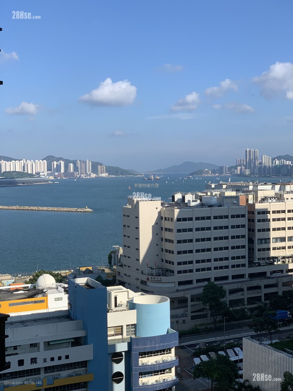 环海东岸 租盘 1 房 307 平方尺