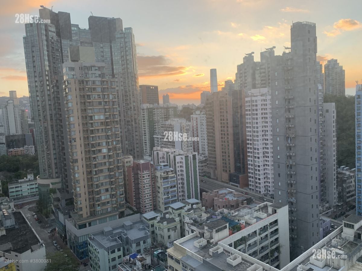 Viva Rental 1 Bedroom 331 ft²