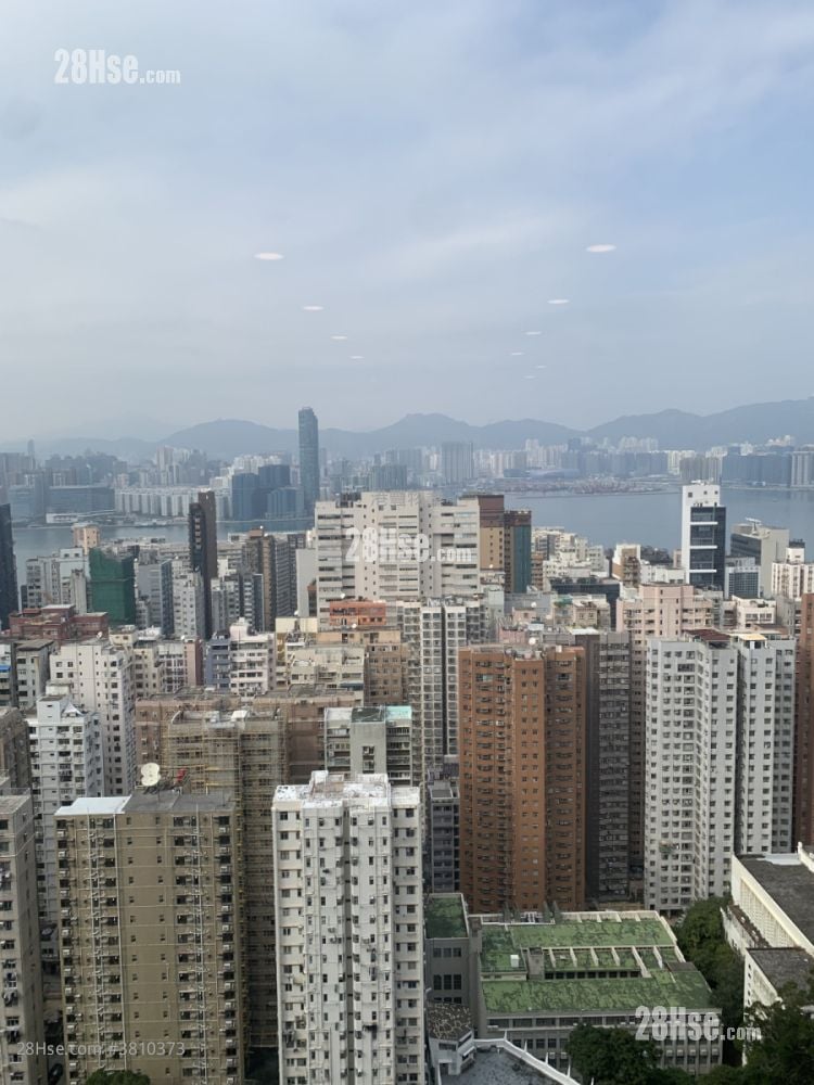 摩天大厦 租盘 4 房 , 3 浴室